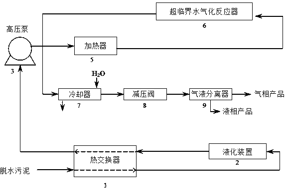 Low-water-content dehydrated sludge direct supercritical water gasification processing apparatus and method