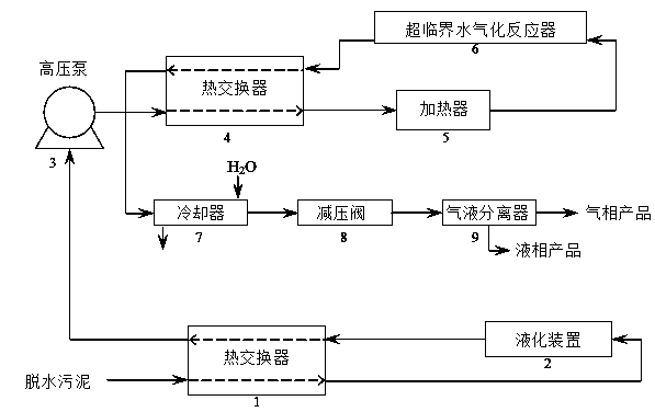 Low-water-content dehydrated sludge direct supercritical water gasification processing apparatus and method