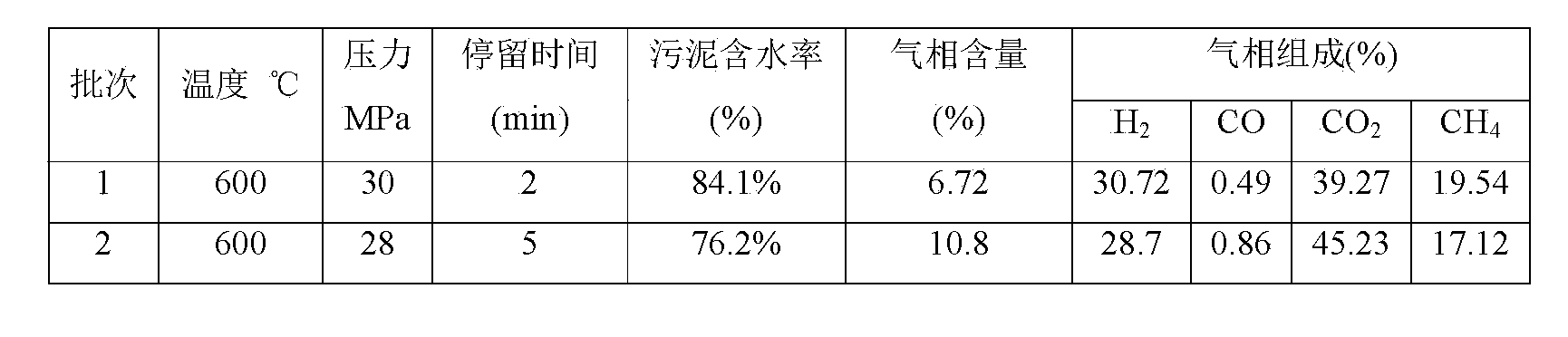 Low-water-content dehydrated sludge direct supercritical water gasification processing apparatus and method