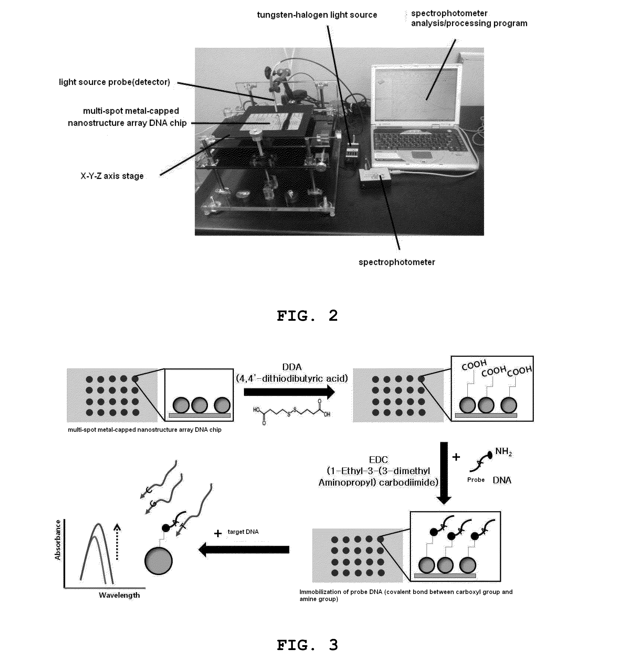 Multi-spot metal-capped nanostructure array nucleic acid chip for diagnosing of corneal dystrophy and preparation method thereof producing same