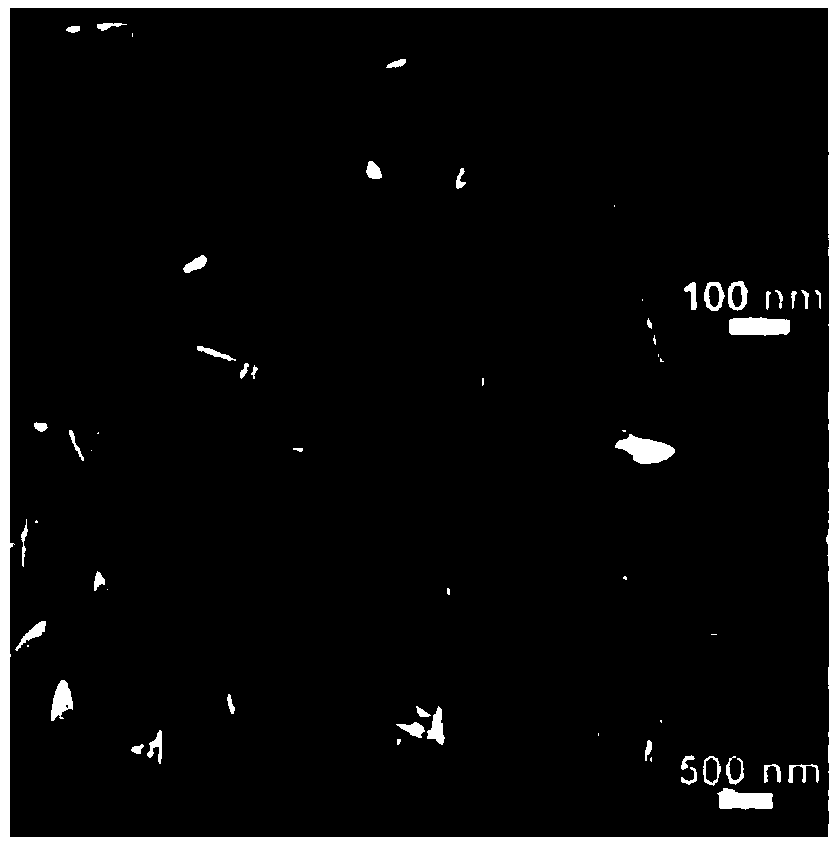 A kind of preparation method of nicop nanowire electrocatalytic electrode