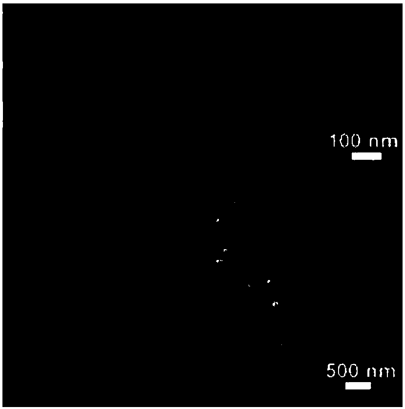 A kind of preparation method of nicop nanowire electrocatalytic electrode