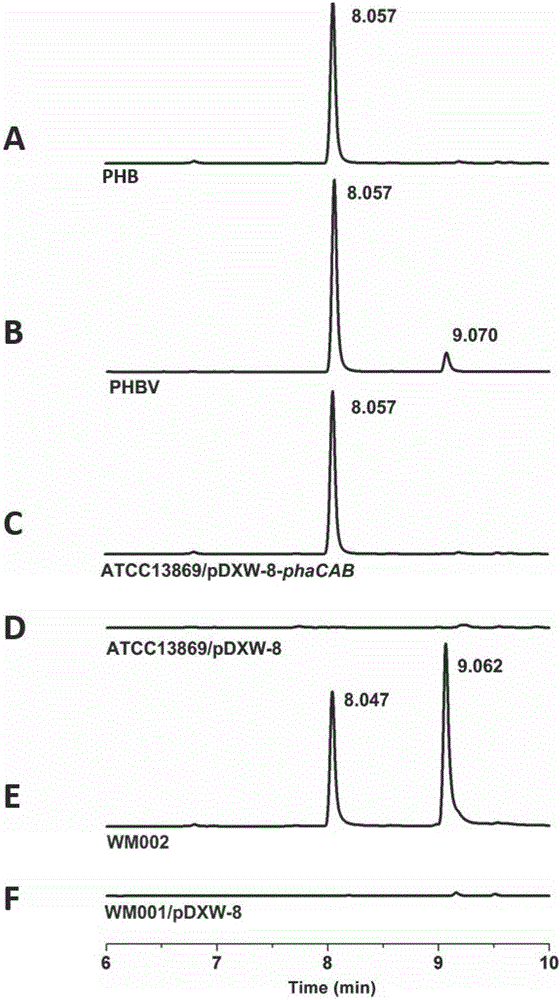 Genetically engineered bacterium capable of generating polyhydroxybutyrate hydroxyvalerate and application method of genetically engineered bacterium