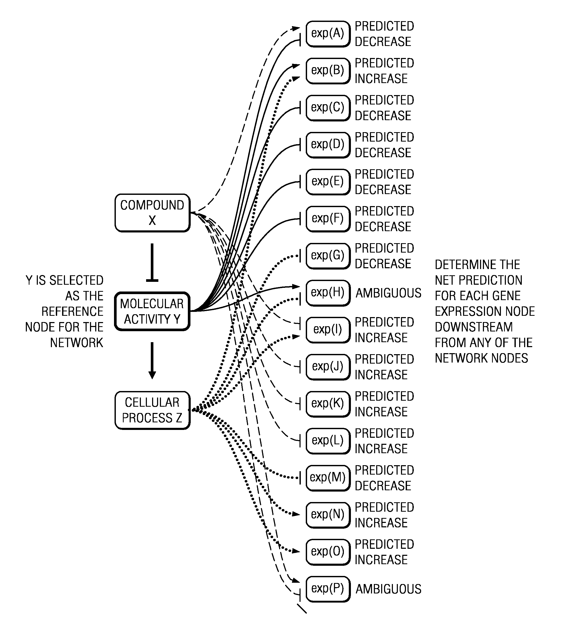 Method for quantifying amplitude of a response of a biological network