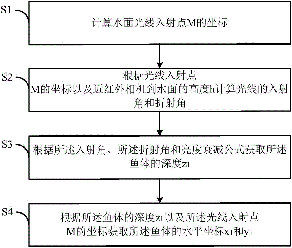 Calculation system and method of factory-like circulating water cultured fish space