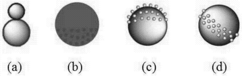 Janus structure superparamagnetic nanoparticle and prepration method thereof