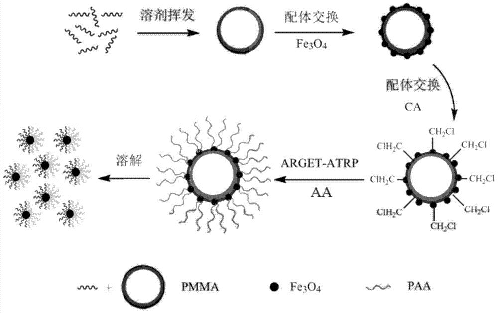 Janus structure superparamagnetic nanoparticle and prepration method thereof