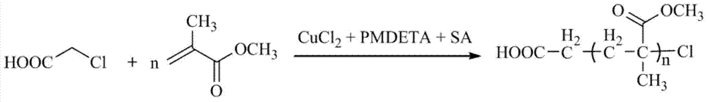 Janus structure superparamagnetic nanoparticle and prepration method thereof