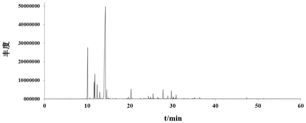 Chimonanthus salicifolius fermentation product as well as preparation method and application thereof