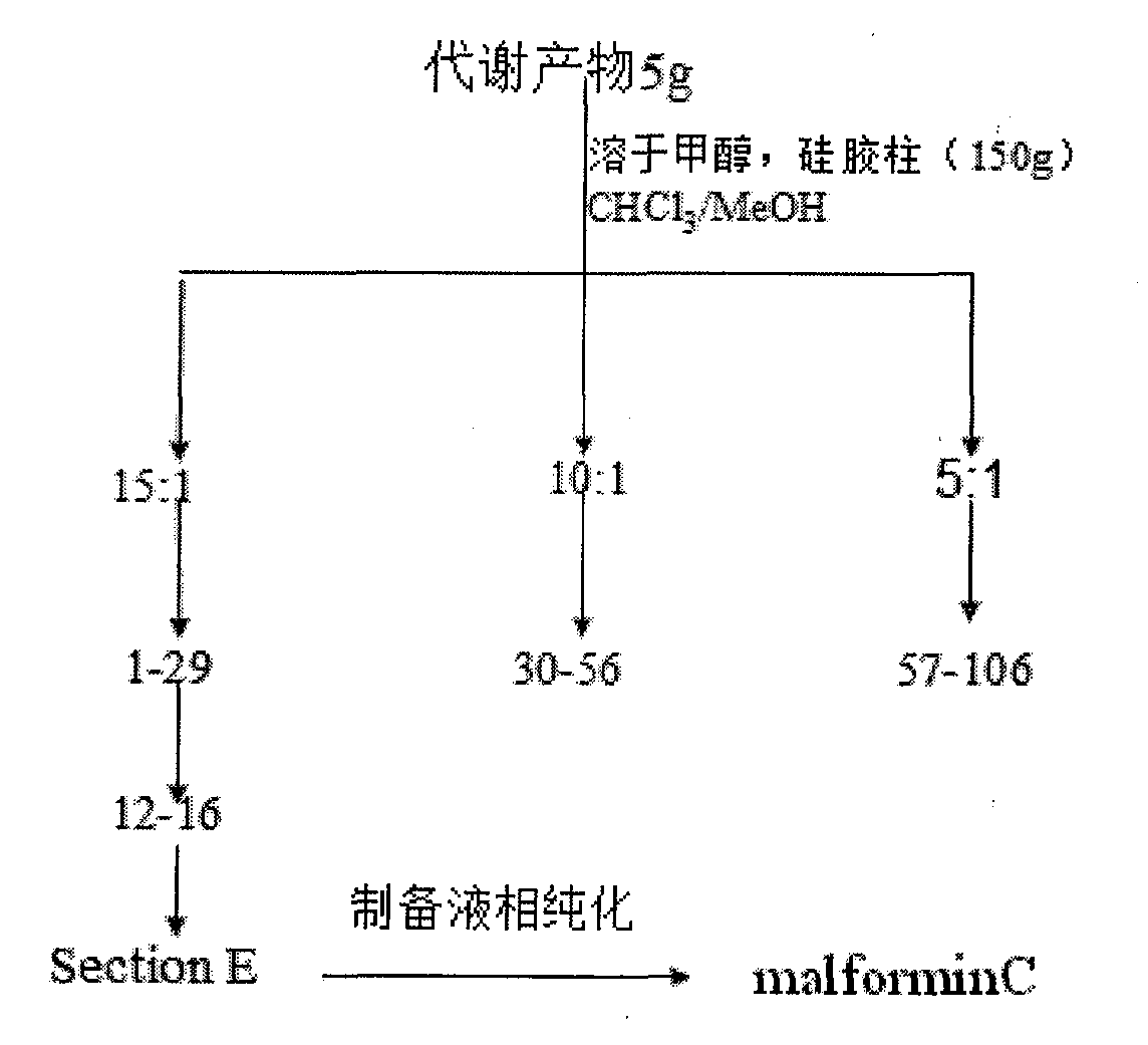 Preparation method for malformin C