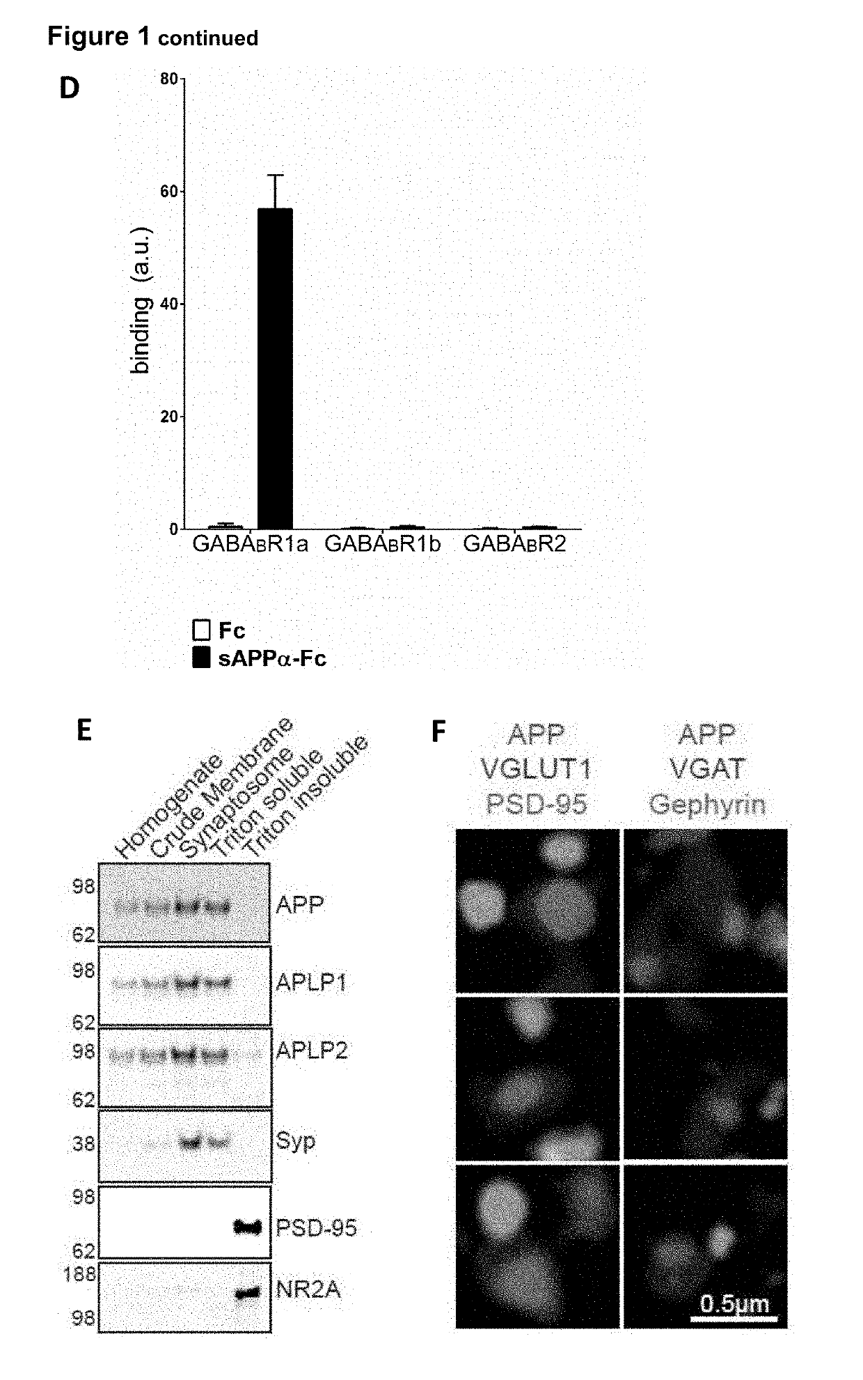 Therapeutic Agents for Neurological and Psychiatric Disorders