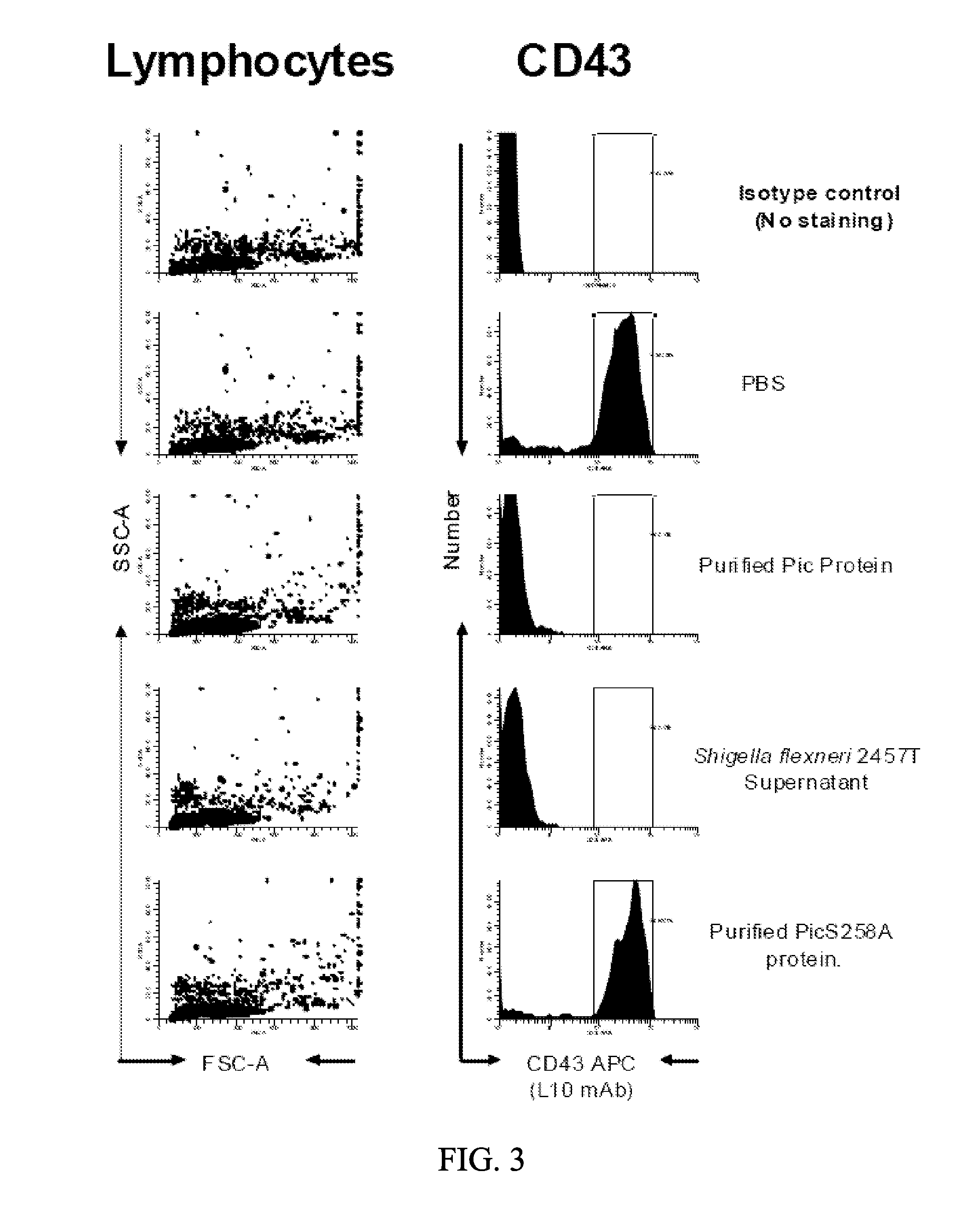 Compositions and methods for treating inflammatory bowel disease and airway inflammation