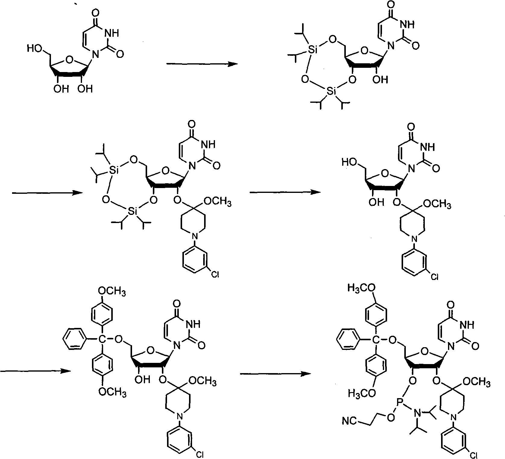 Process for synthesizing RNA monomer