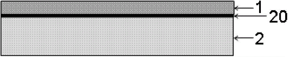 Plasmon-enhanced Raman spectroscopy detection chip and detection device using it