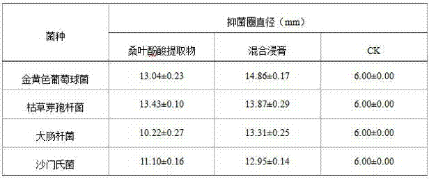 Preparation method and application of mulberry leaf phenolic acid extract with antibacterial activity