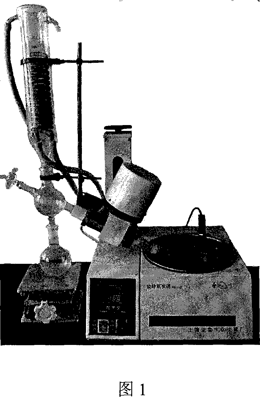 Enzymatical method for synthesizing water-soluble ferulic acyl glyceride