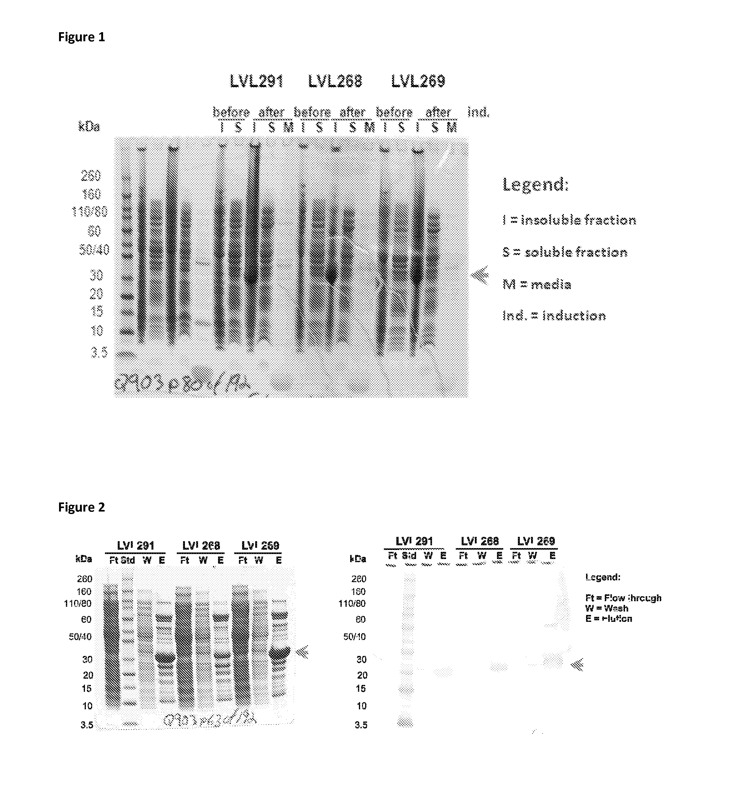 Immunogenic composition