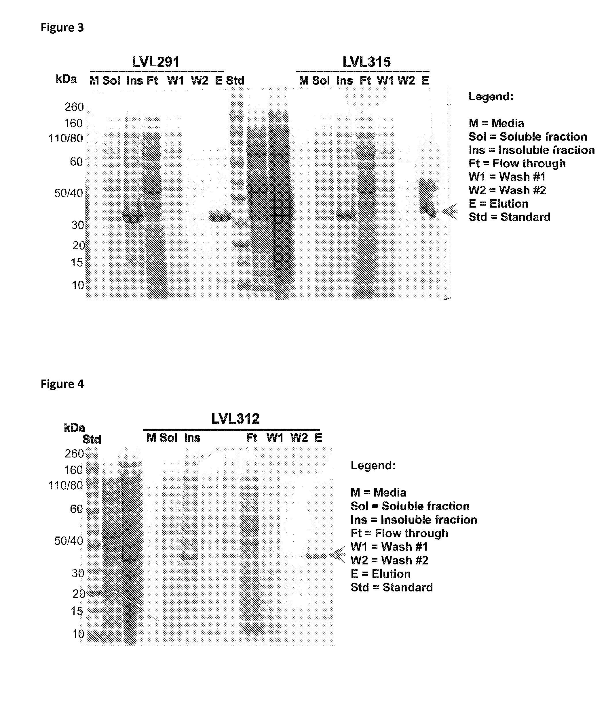 Immunogenic composition