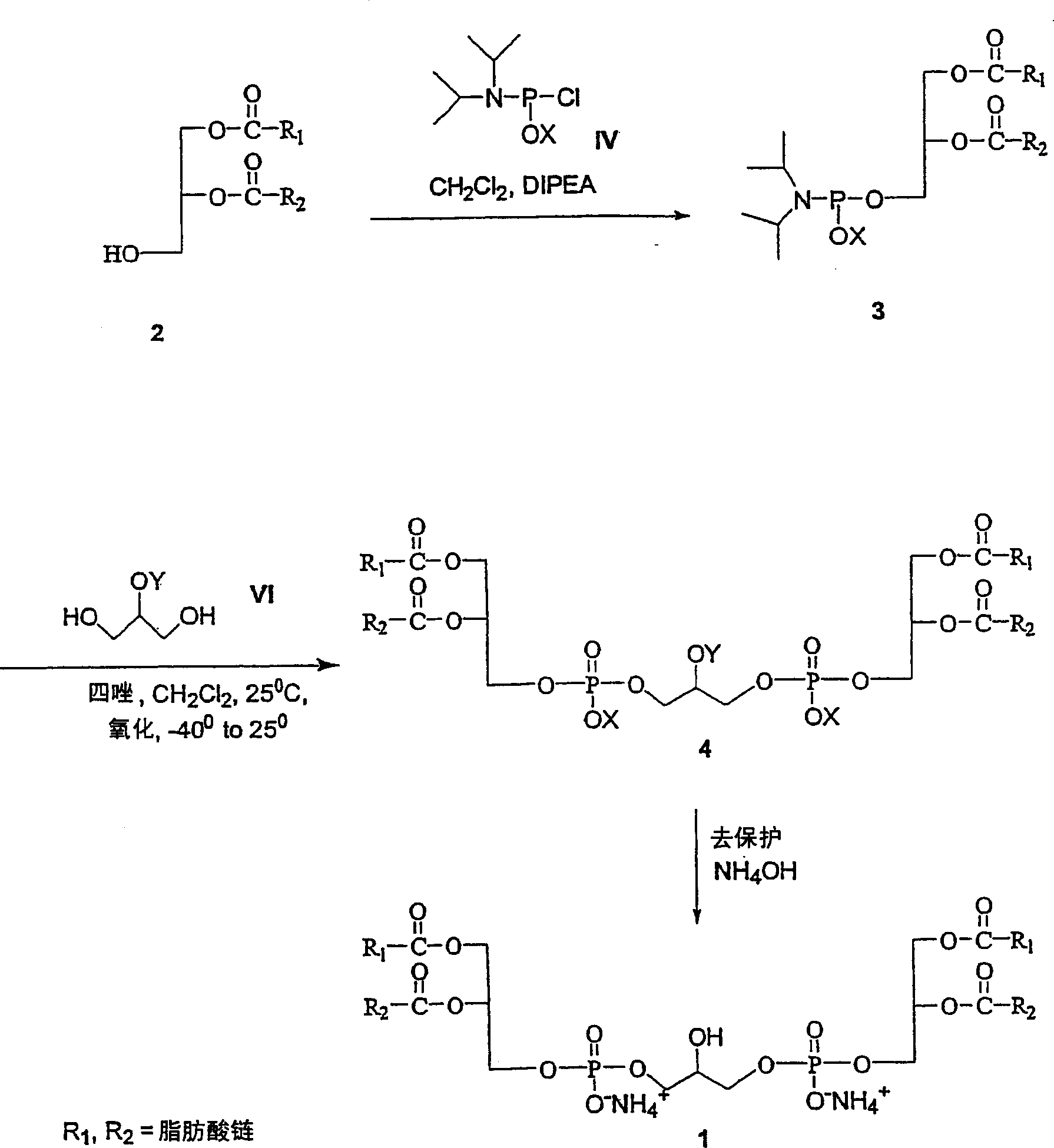 Cardiolipin molecules and method of synthesis