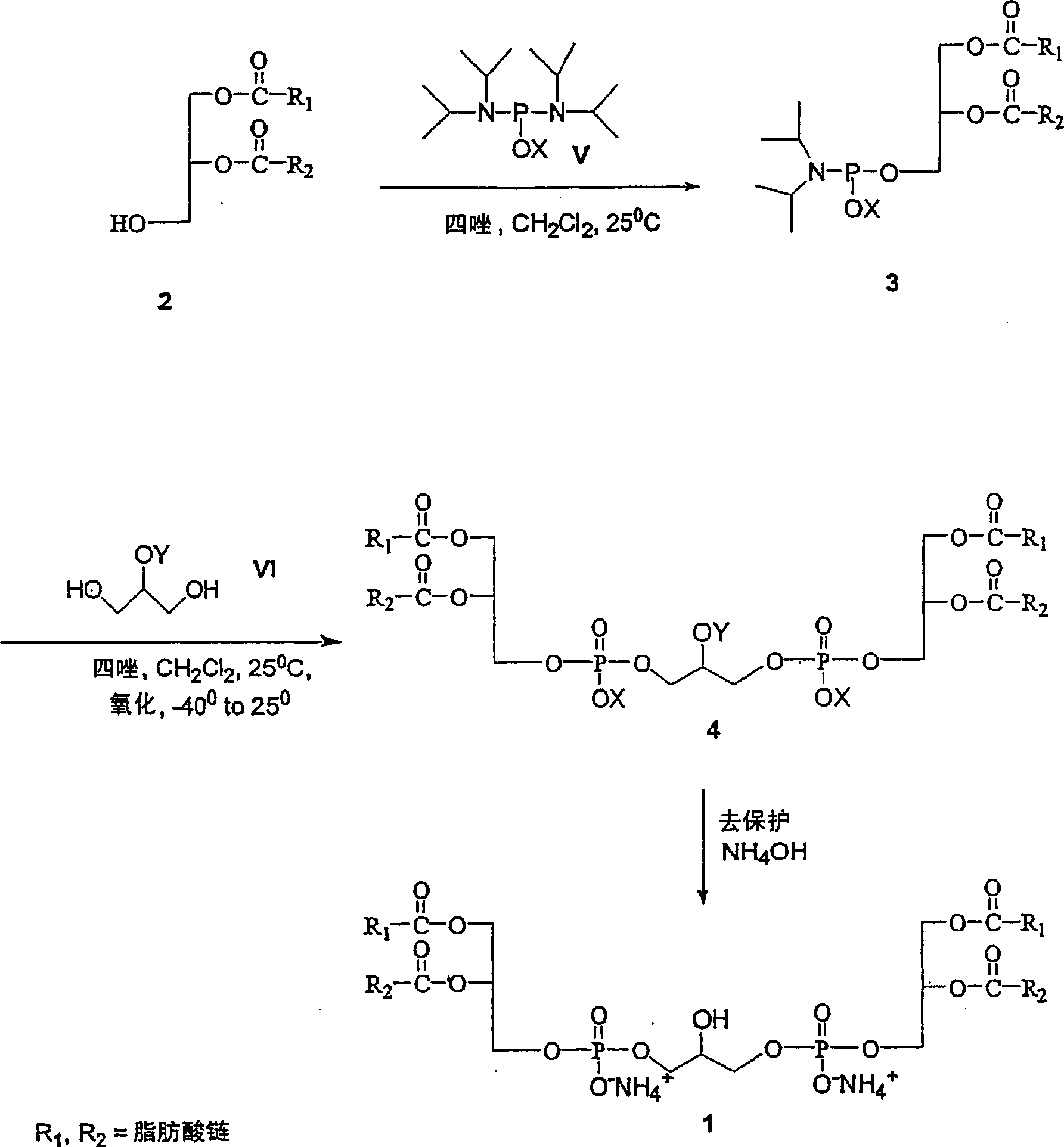 Cardiolipin molecules and method of synthesis
