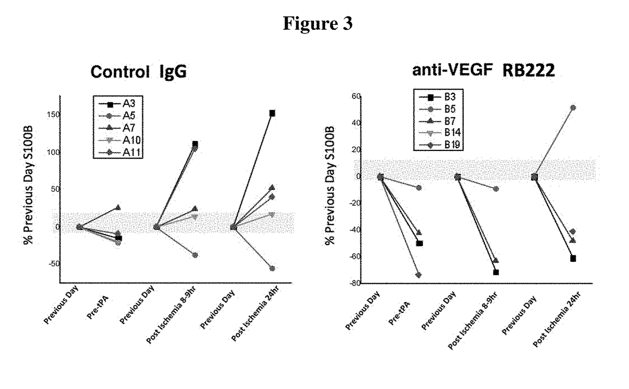 Diagnostic marker for treatment of cerebral ischemia