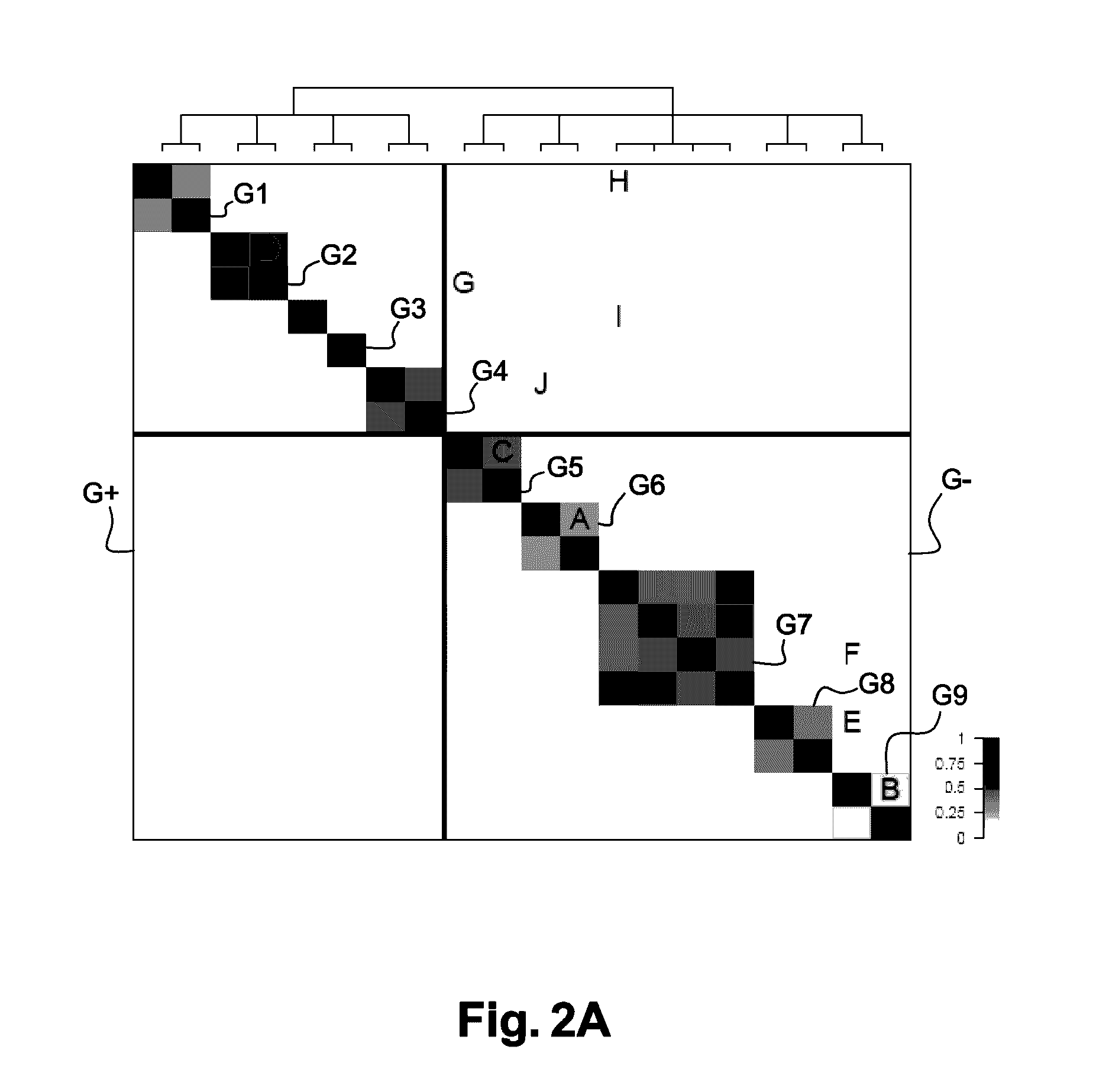 Method and device for analysing a biological sample