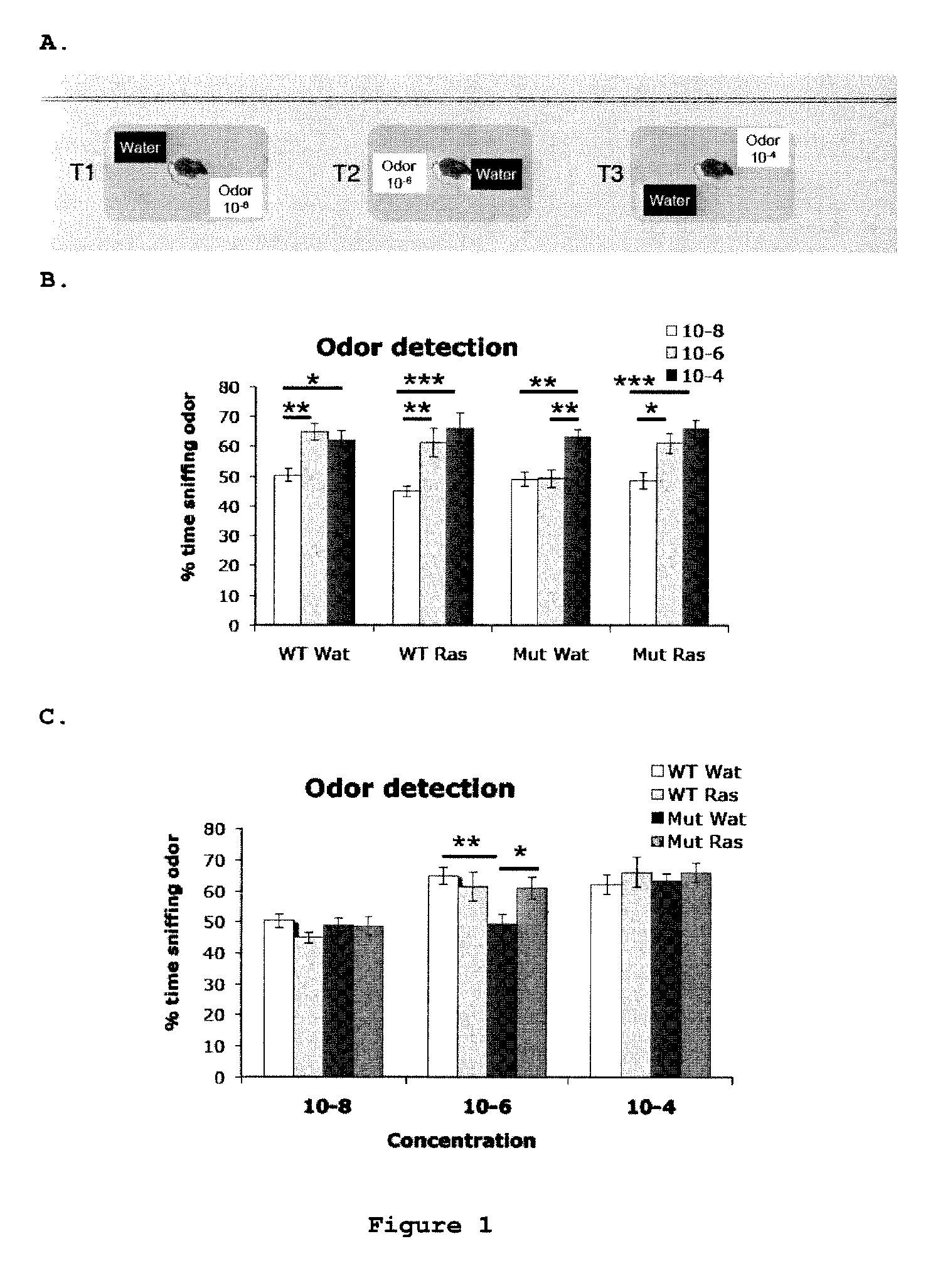 Use of rasagiline for the treatment of olfactory dysfunction