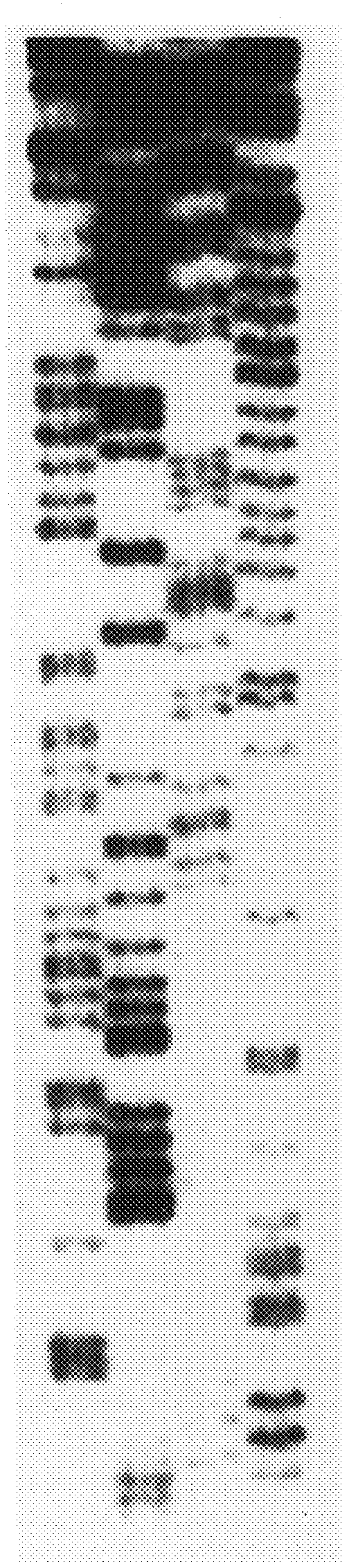 Method for determining DNA nucleotide sequence