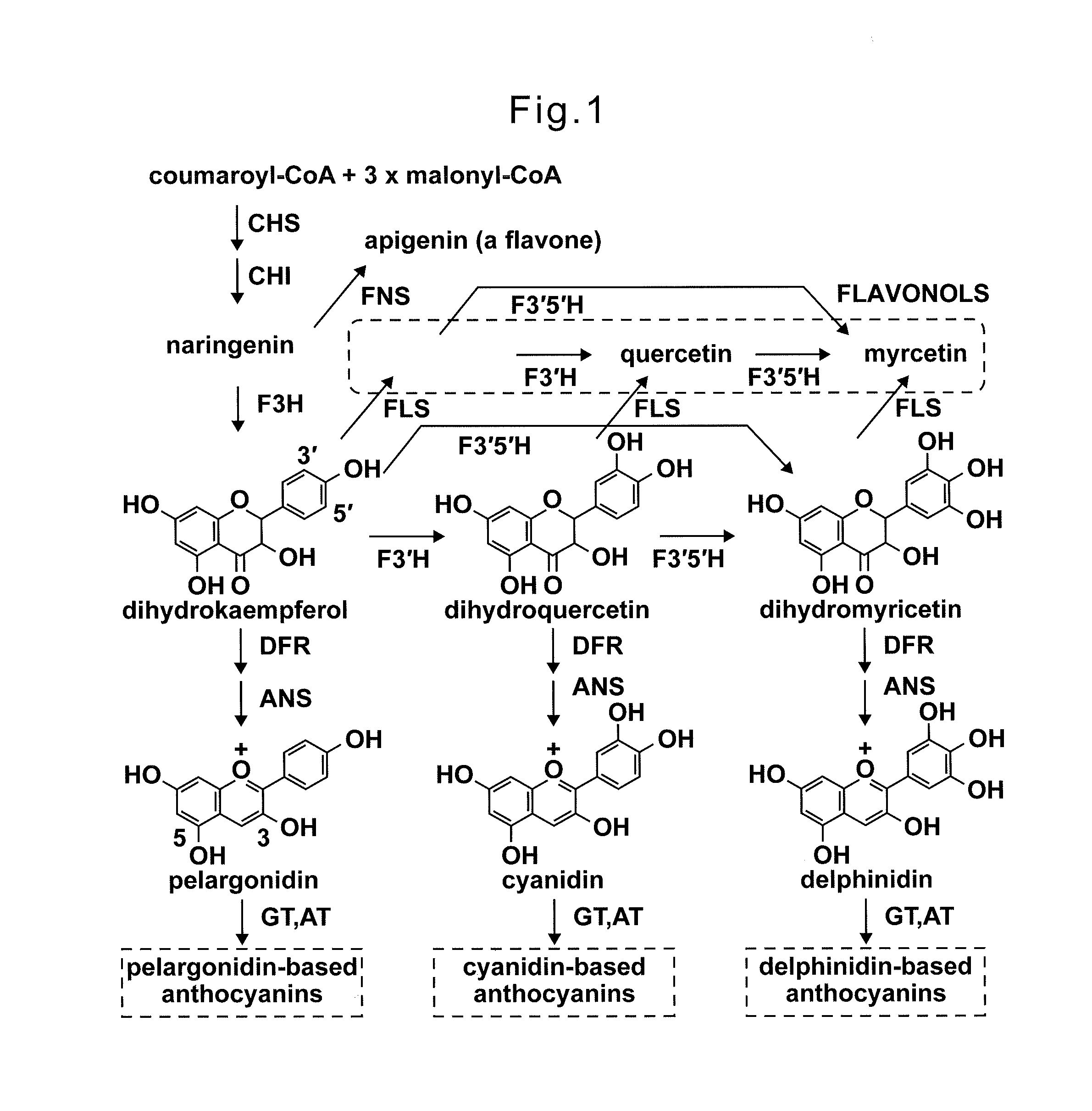 Novel glycosyltransferase gene and use thereof