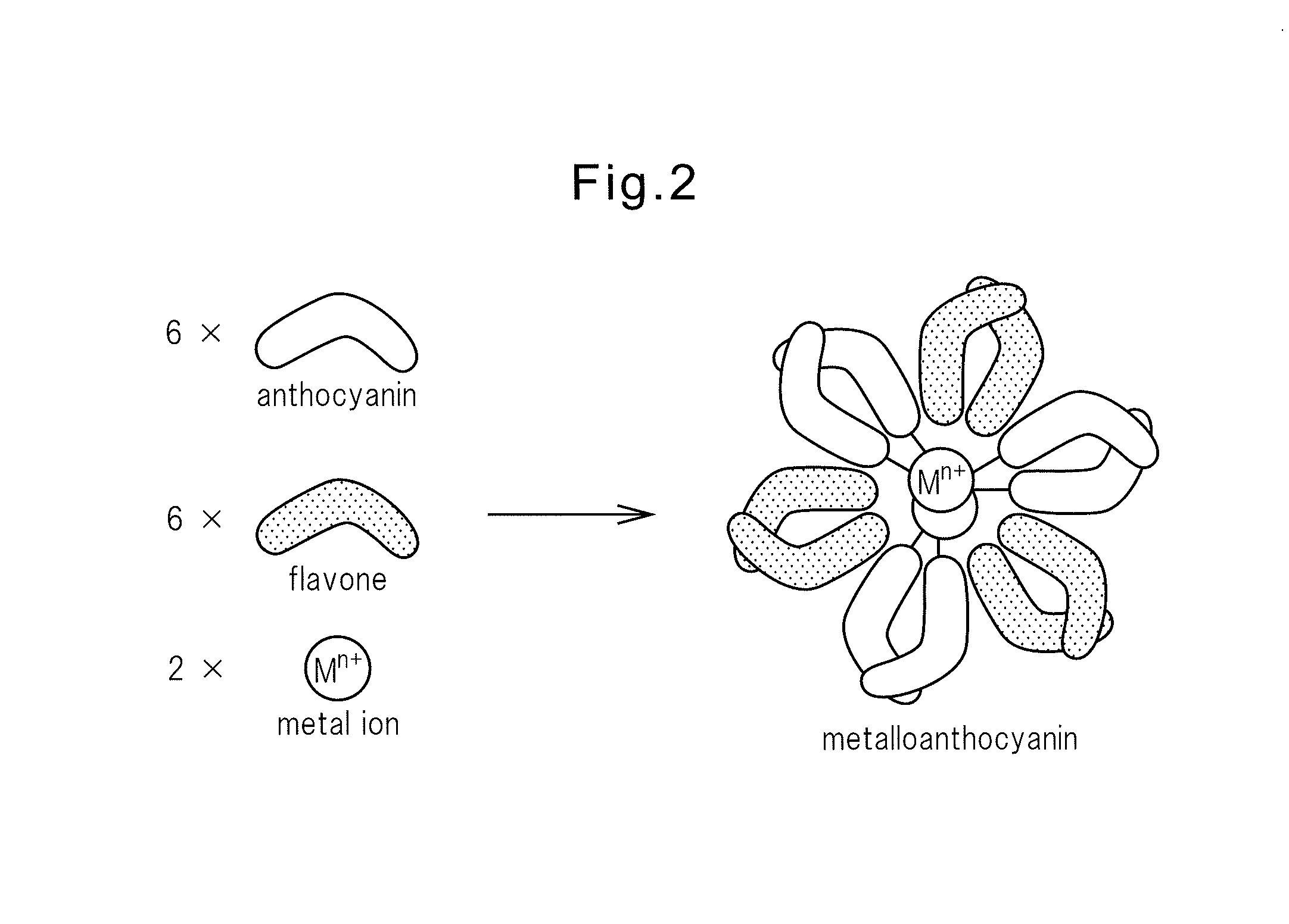 Novel glycosyltransferase gene and use thereof