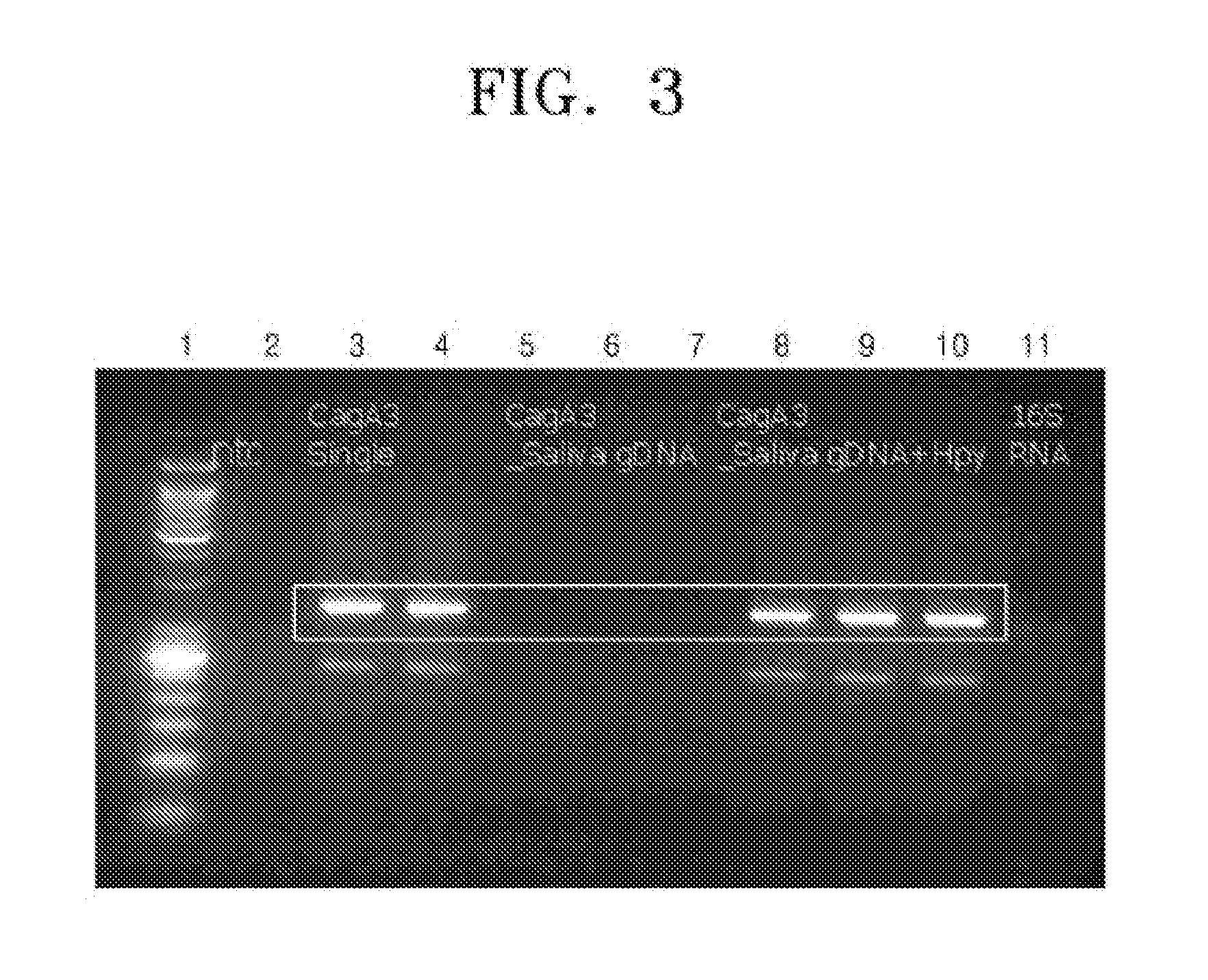 Method and compositions for detecting helicobacter pylori