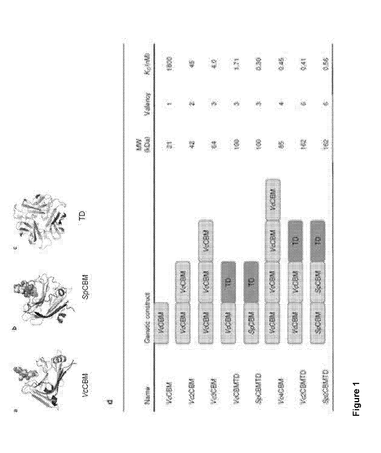 Novel adjuvants