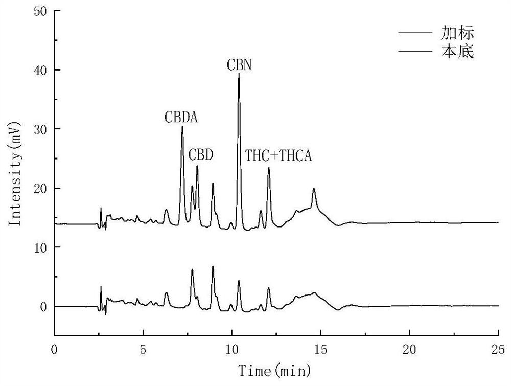 Method for simultaneously detecting five cannabinol compounds by using HPLC-MS/MS