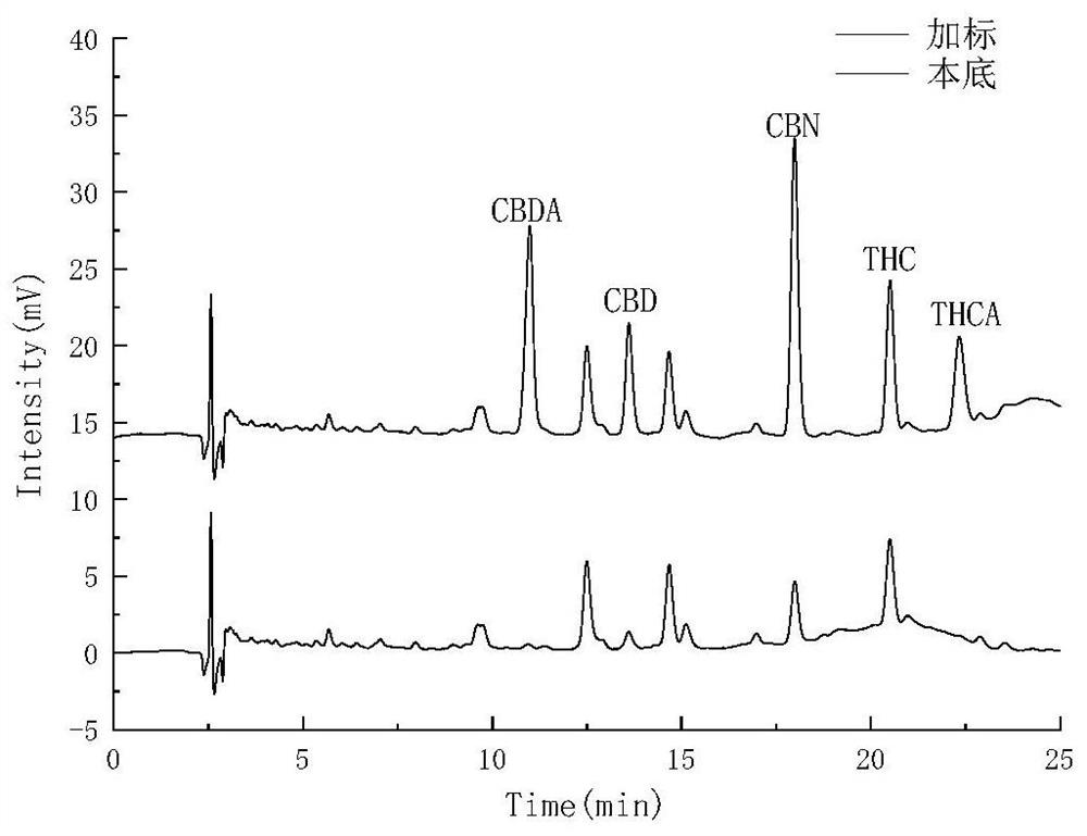 Method for simultaneously detecting five cannabinol compounds by using HPLC-MS/MS