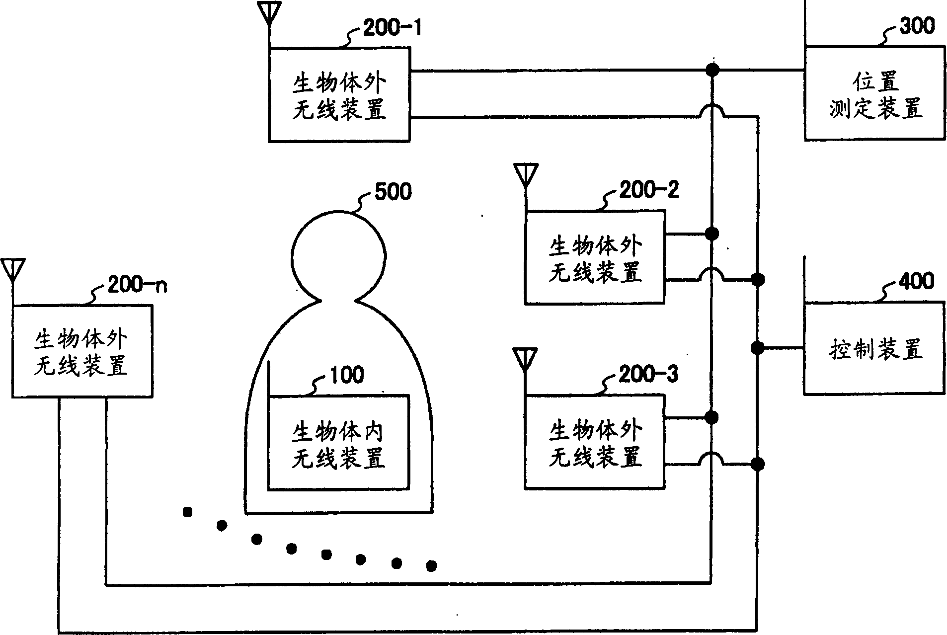 Position measuring method, system and device and radio device in organism