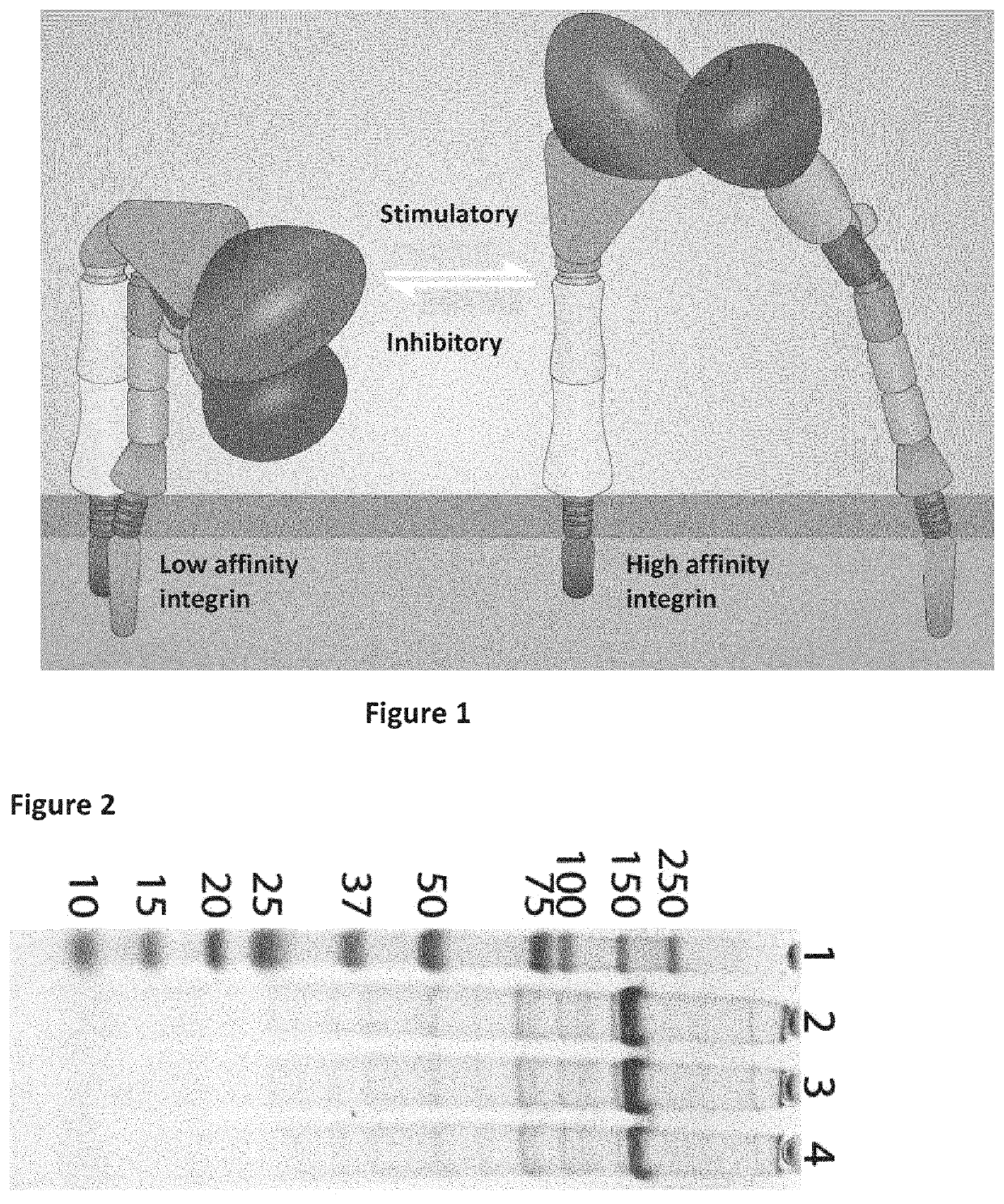 Improved culture method using integrin agonist
