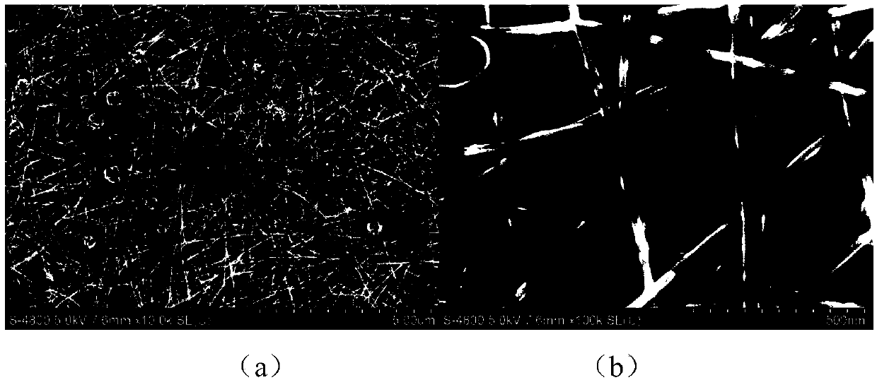 High length-diameter ratio silver nanowire and preparation method thereof