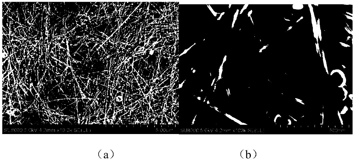 High length-diameter ratio silver nanowire and preparation method thereof