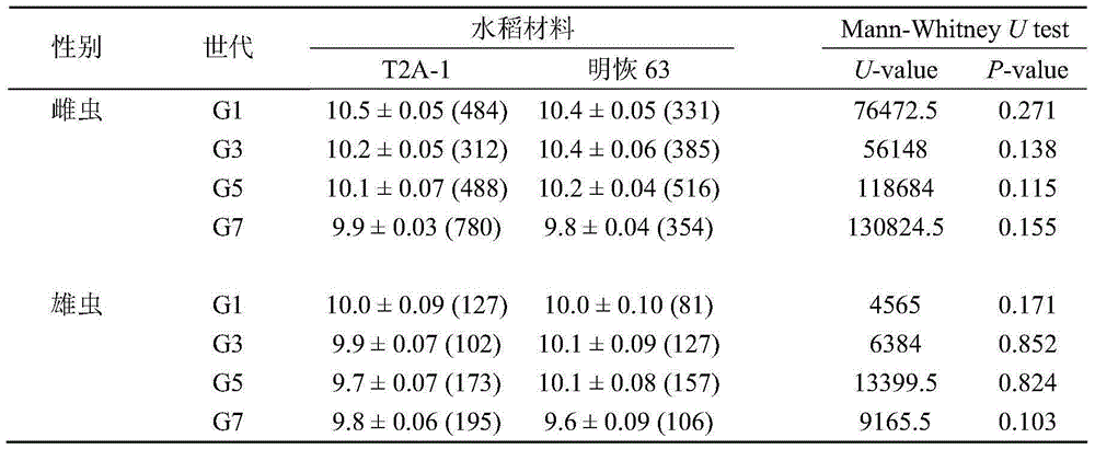 Safety evaluation method of transgenic insect-resistant rice against parasitic natural enemy Oryza spp.