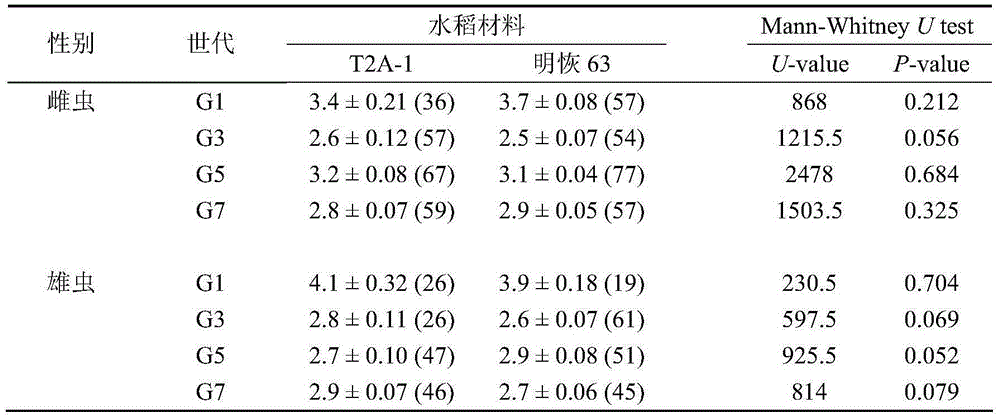 Safety evaluation method of transgenic insect-resistant rice against parasitic natural enemy Oryza spp.