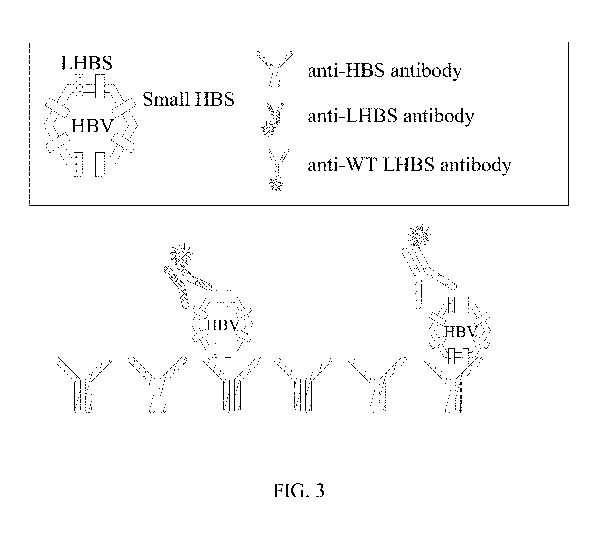 Antibodies and method for determining deletions in HBV pre-s2 region