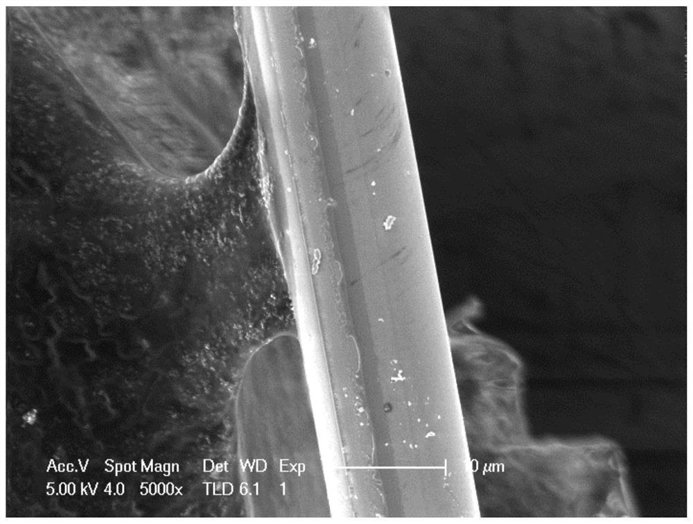 Composite oxide coating and its preparation method and application