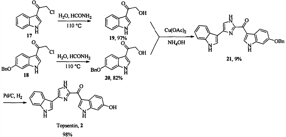 Topsentin derivatives and their preparation and application in anti-plant viruses and bacteria
