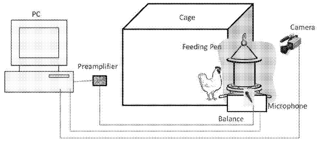 Automated Monitoring of Animal Nutriment Ingestion