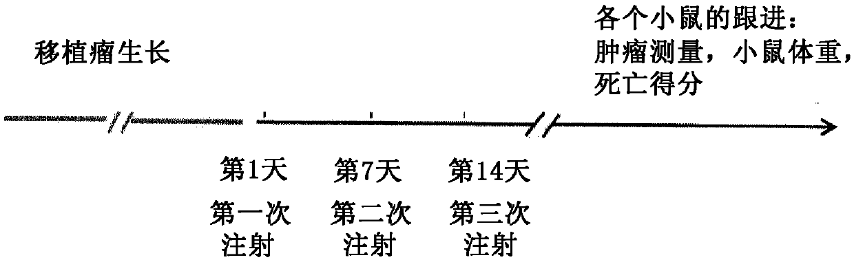 Pharmaceutical composition, preparation and uses thereof
