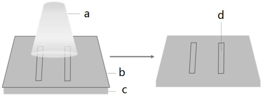 Method for realizing infrared photoelectric detection by regulating and controlling metal/semiconductor Schottky junction through pyroelectric effect of polar semiconductor