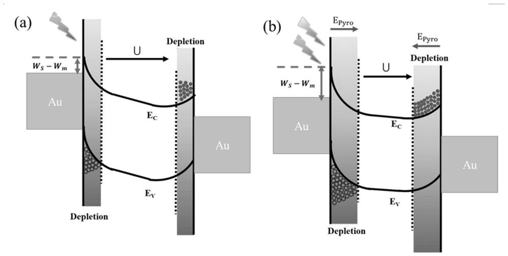 Method for realizing infrared photoelectric detection by regulating and controlling metal/semiconductor Schottky junction through pyroelectric effect of polar semiconductor