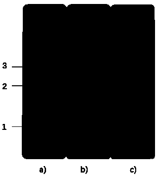 Porcine trichinosis antibody test strip, and preparation method and application thereof