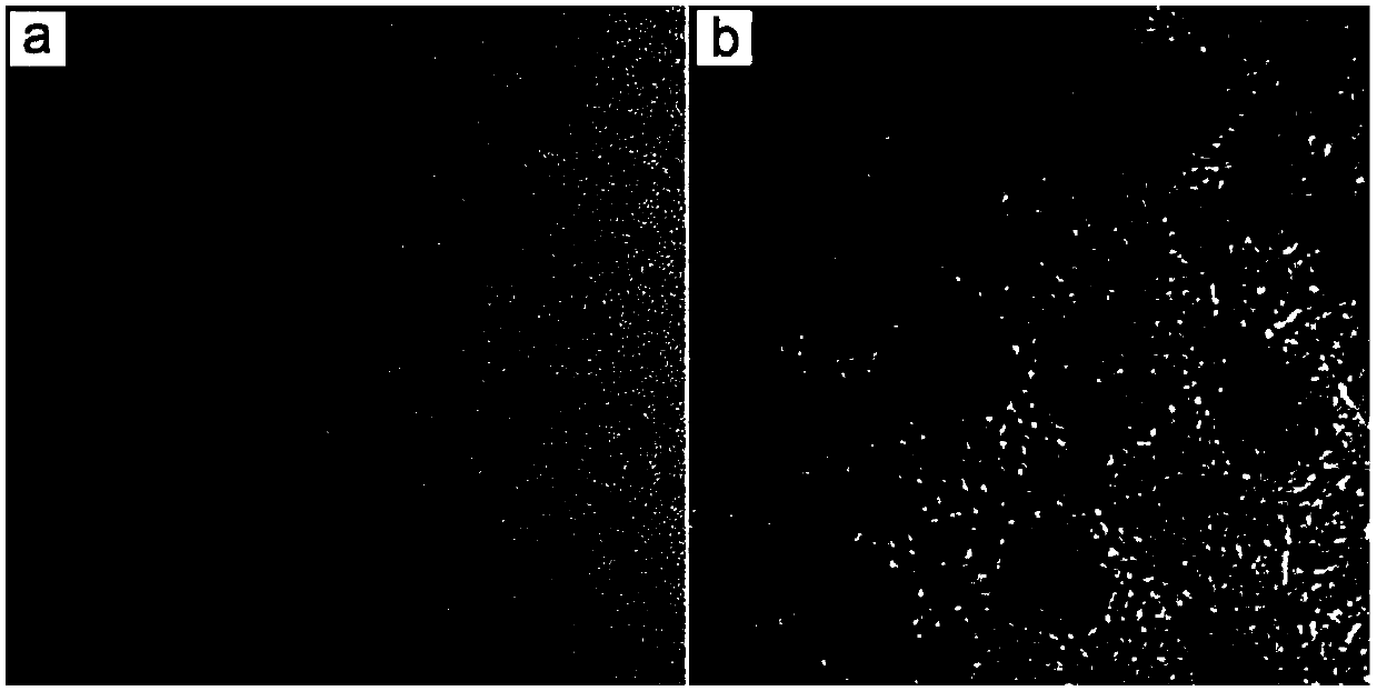 Novel method for high-sensitivity and wide detection range fluorescence detection of alendronate sodium (ALDS)