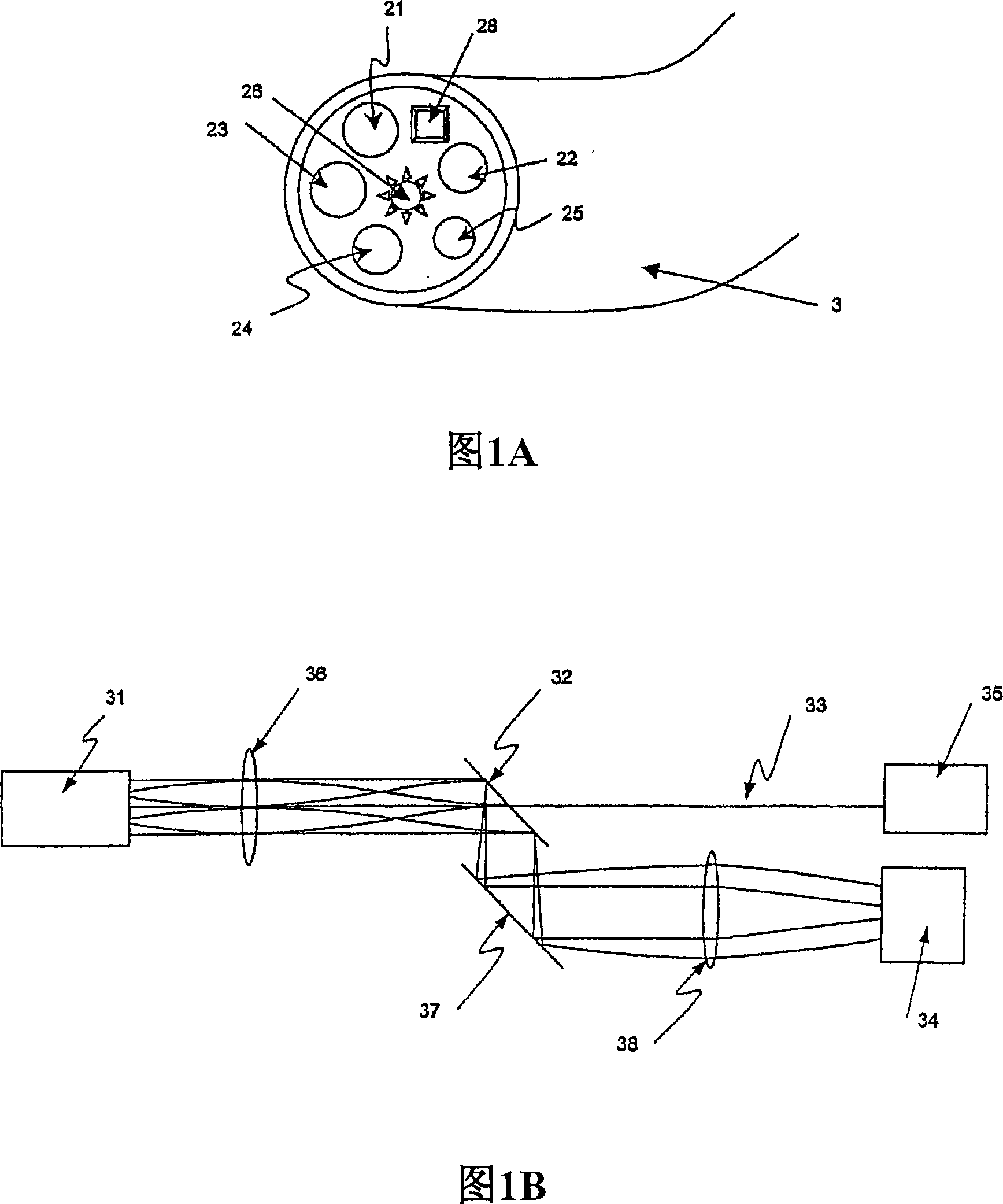 Method and apparatus for measuring cancerous changes from reflectance spectral measurements obtained during endoscopic imaging